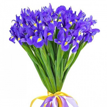 Букет из 19 ирисов