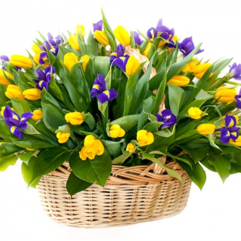Букет из тюльпанов и ирисов "Заветная мечта"